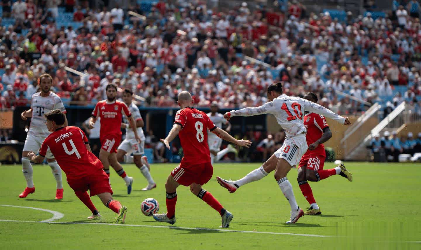 Kaiyun中国官网-今日法甲赛程表